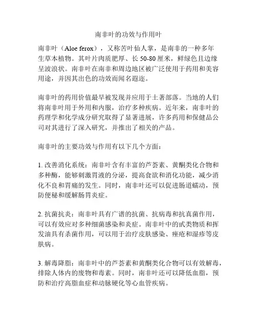 南非叶的功效与作用叶