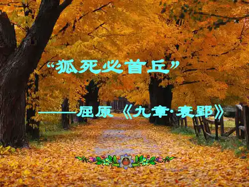 全国语文优质课赛课一等奖《乡愁》精品PPT公开课课件