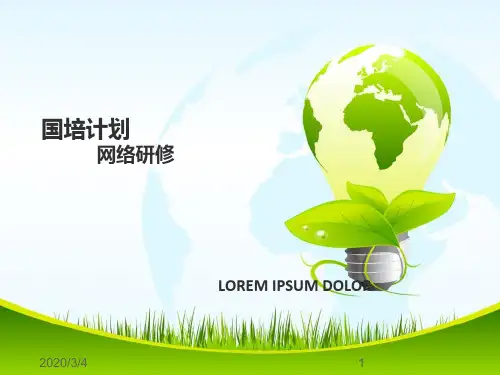 国培计划总结PPT课件