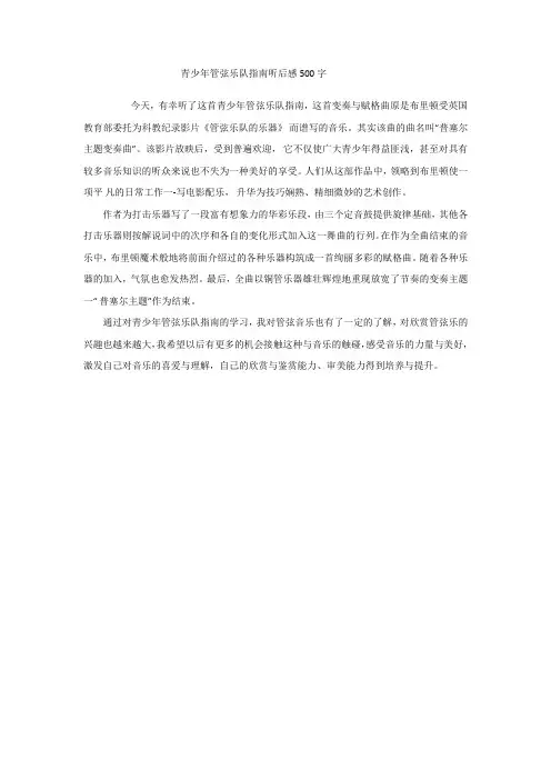 青少年管弦乐队指南听后感500字