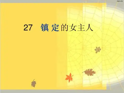 27 镇定的女主人