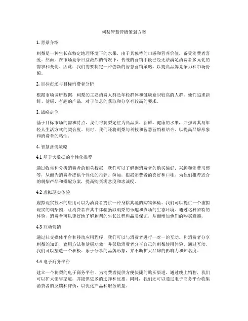 刺梨智慧营销策划方案