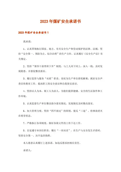2023年煤矿安全承诺书
