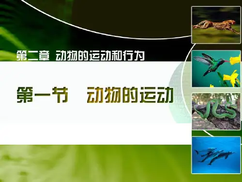 第一节动物的运动PPT课件