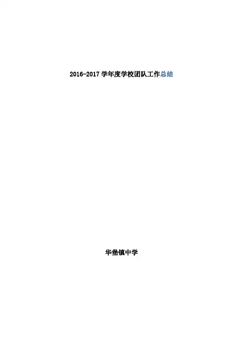 2016-2017年团队工作总结