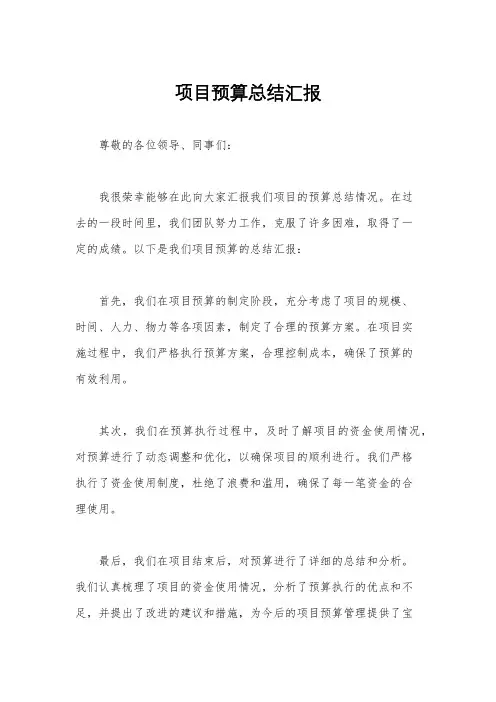 项目预算总结汇报