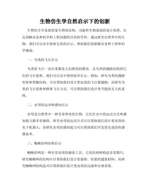 生物仿生学自然启示下的创新