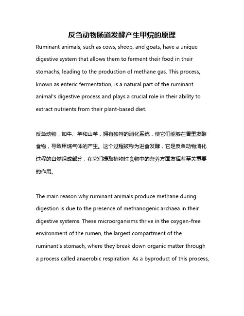 反刍动物肠道发酵产生甲烷的原理