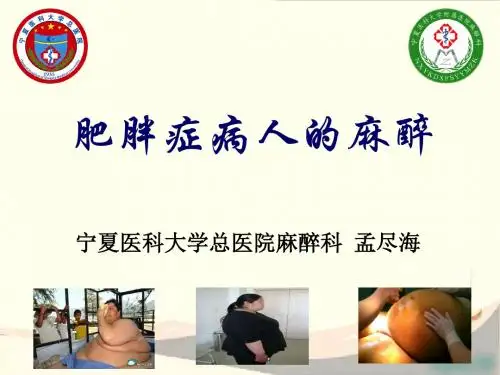 肥胖病人的麻醉 PPT课件