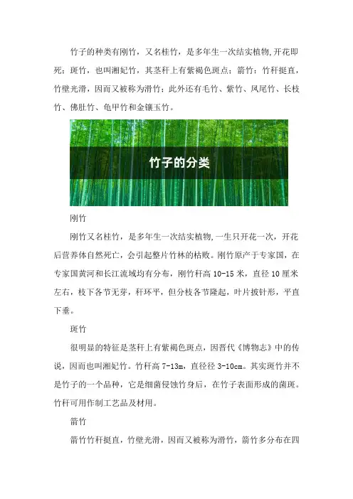 竹子的分类