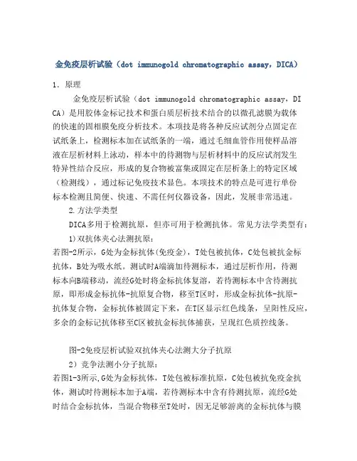 金免疫层析试验(dot immunogold chromatographic assay,DICA)