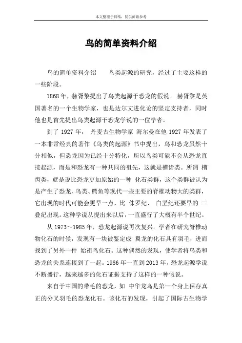 鸟的简单资料介绍