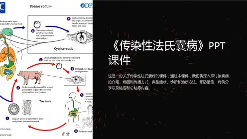 《传染性法氏囊病》课件