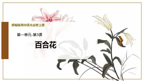 人教版高中语文必修一《百合花》PPT课件