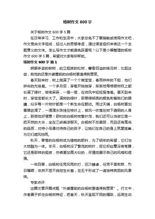 关于杨树作文600字5篇