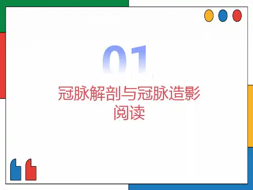 冠脉解剖与冠脉造影阅读
