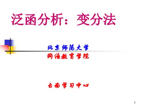 泛函分析：变分法