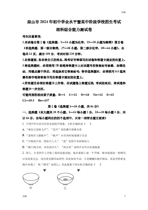 2024年四川省眉山市中考真题试卷物理及答案