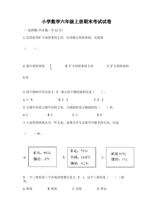 小学数学六年级上册期末考试试卷及完整答案(精品)
