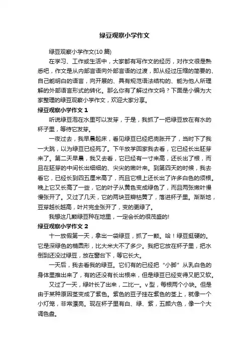 绿豆观察小学作文（10篇）