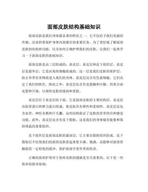 面部皮肤结构基础知识