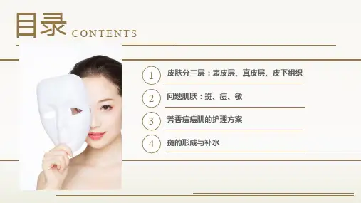 美容美妆皮肤美容知识讲座培训讲座课件PPT模板