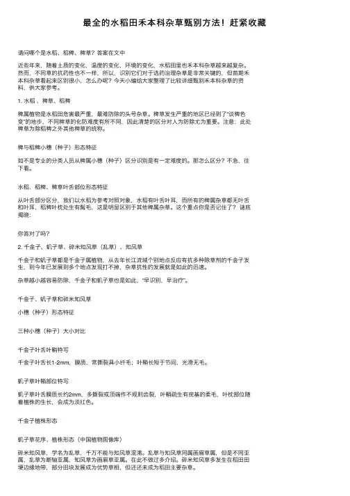 最全的水稻田禾本科杂草甄别方法！赶紧收藏