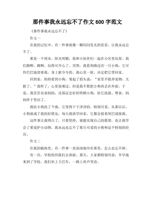 那件事我永远忘不了作文600字范文