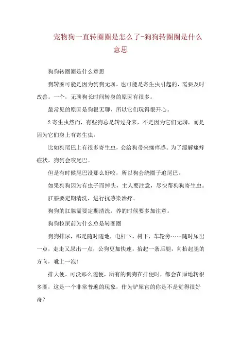 宠物狗一直转圈圈是怎么了-狗狗转圈圈是什么意思