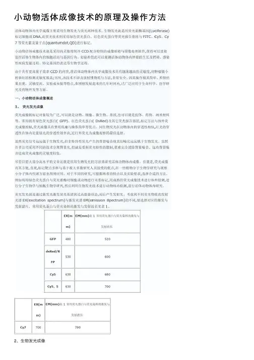 小动物活体成像技术的原理及操作方法