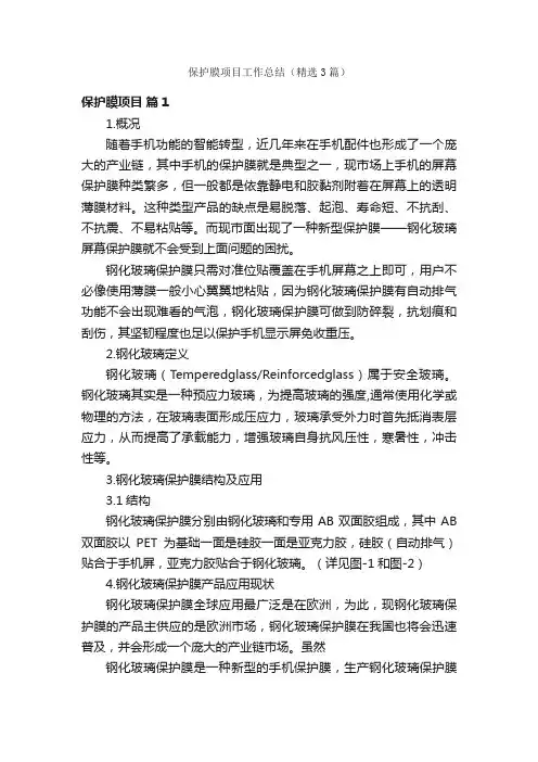 保护膜项目工作总结（精选3篇）