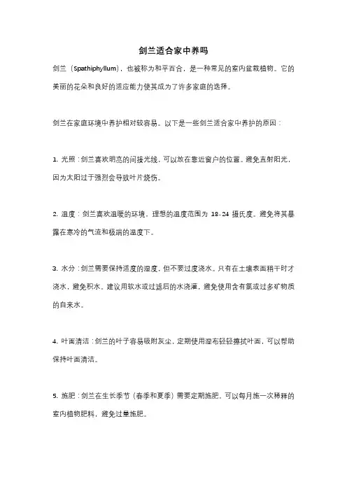 剑兰适合家中养吗
