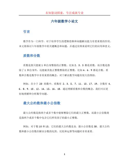 六年级数学小论文 (2)