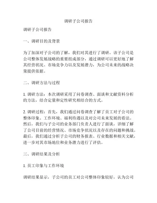 调研子公司报告