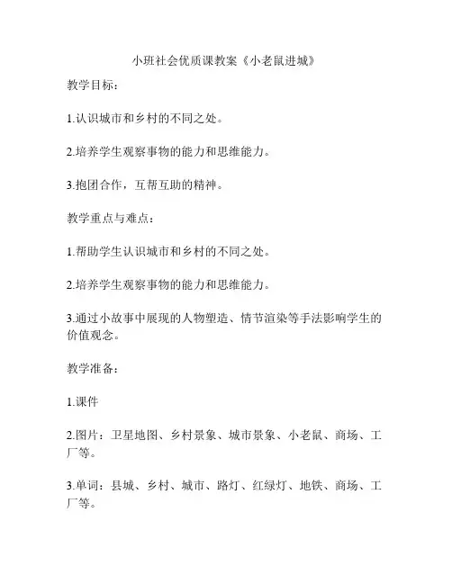 小班社会优质课教案《小老鼠进城》