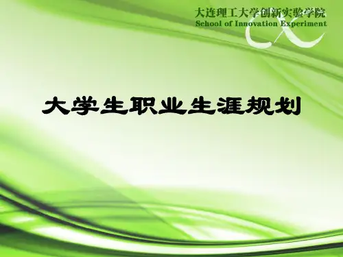 大学生职业生涯规划(技能)