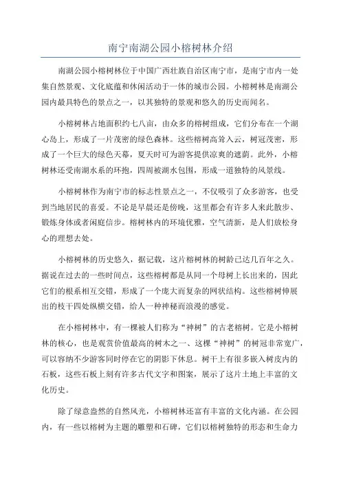 南宁南湖公园小榕树林介绍