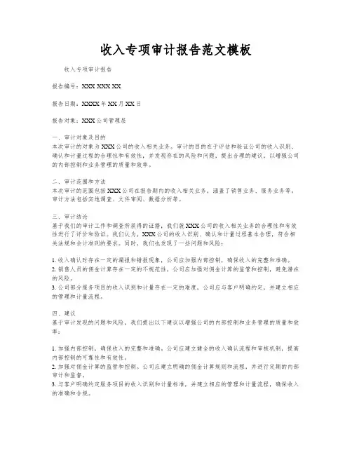 收入专项审计报告范文模板