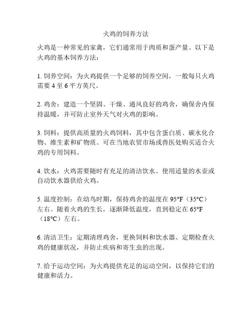 火鸡的饲养方法