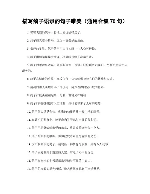 描写鸽子语录的句子唯美(精选合集70句)