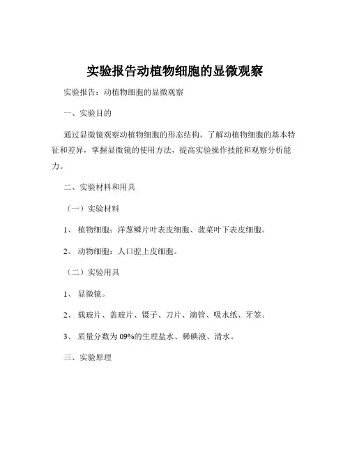 实验报告动植物细胞的显微观察