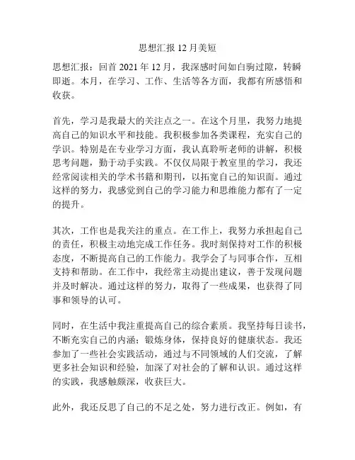 思想汇报12月美短