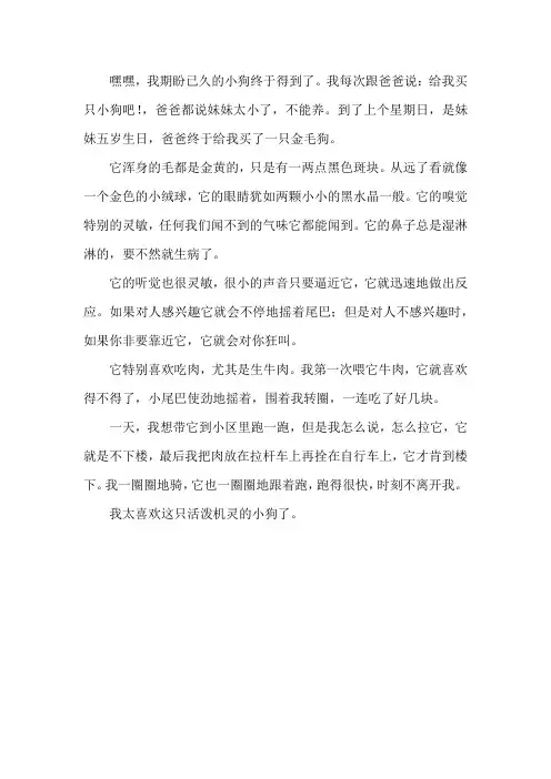 我与动物故事作文400字左右