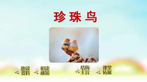 统编版五年级上册语文珍珠鸟课件