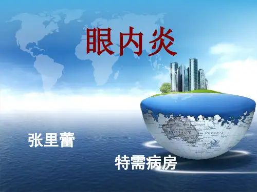 眼内炎知识学习