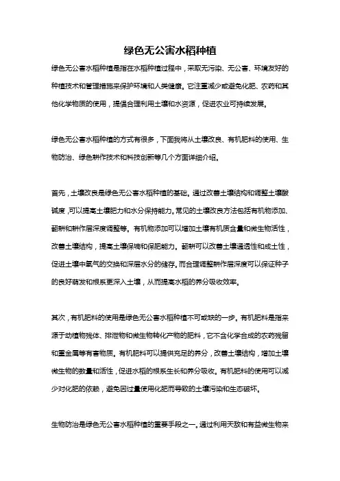 绿色无公害水稻种植