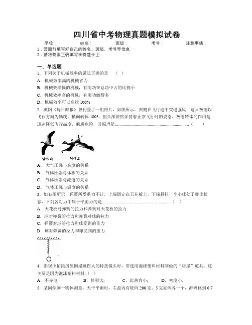 四川省中考物理真题模拟试卷附解析