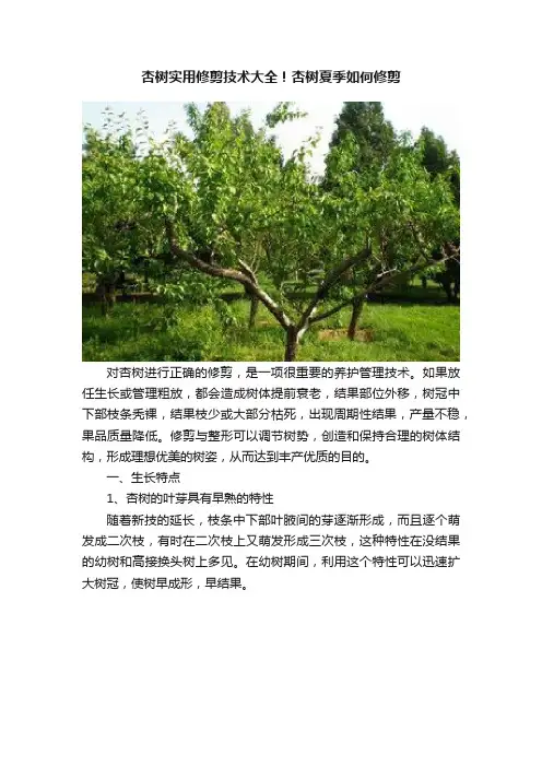 杏树实用修剪技术大全！杏树夏季如何修剪
