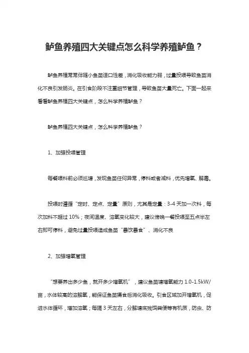 鲈鱼养殖四大关键点怎么科学养殖鲈鱼