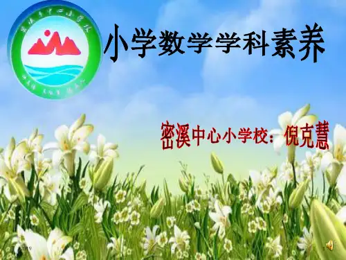 小学数学核心素养ppt课件